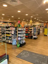 La Pharmacie du Lion