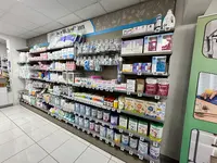 La Pharmacie de Losteau