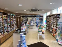Pharmacie de l'Hôtel de Ville - Sorrant Arnaud