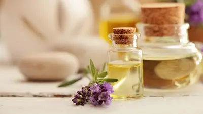 Pharmacie des Cordeliers Totum