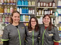 Pharmacie du Ternin