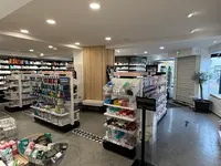 Pharmacie du Conseil des Xv (orangerie)